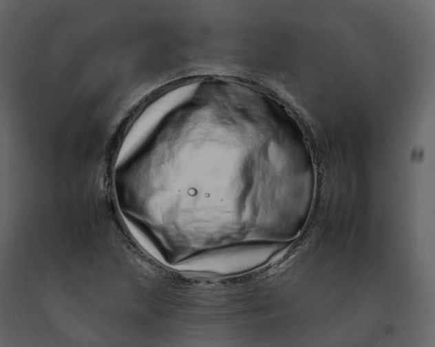 X0000092261215200710051313