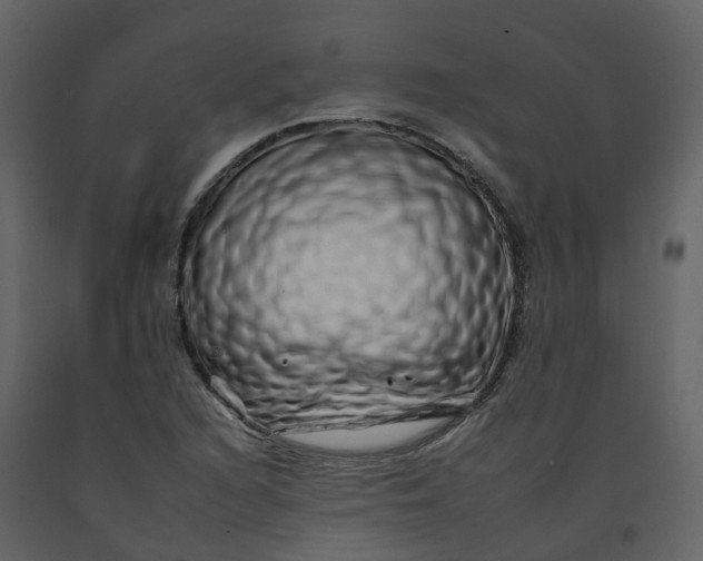 X0000092261216200710051313