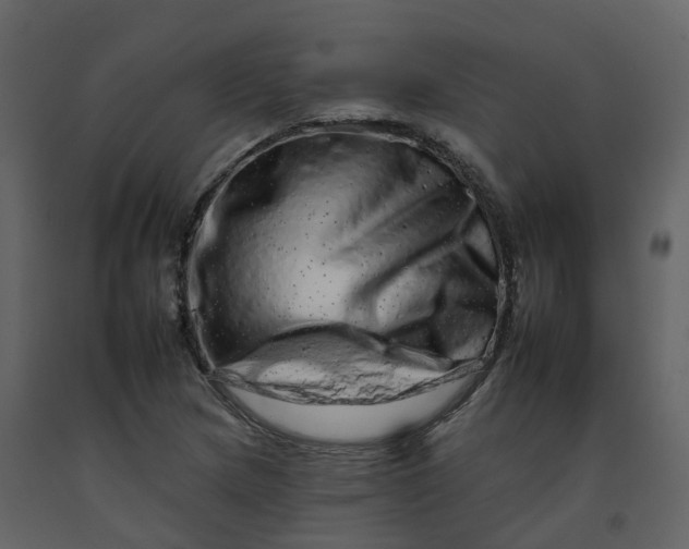 X0000092261217200710051313