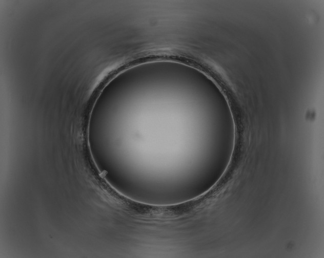 X0000092261218200710051313