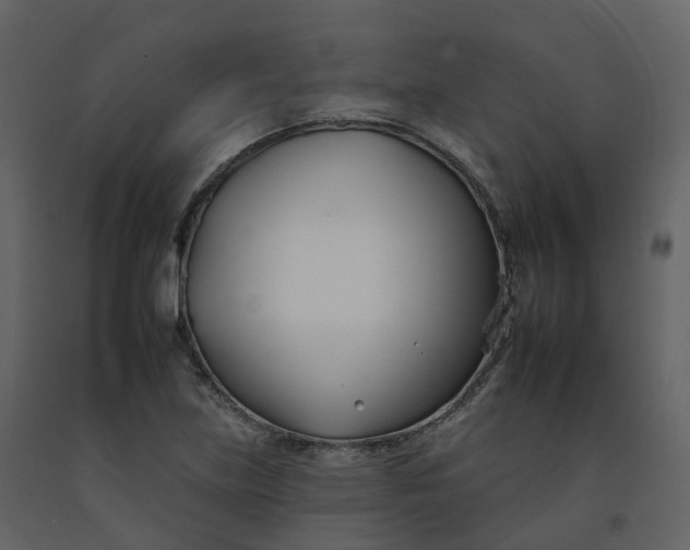 X0000092261219200710051313