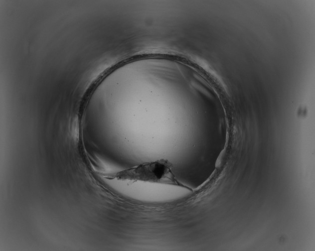 X0000092261221200710051313