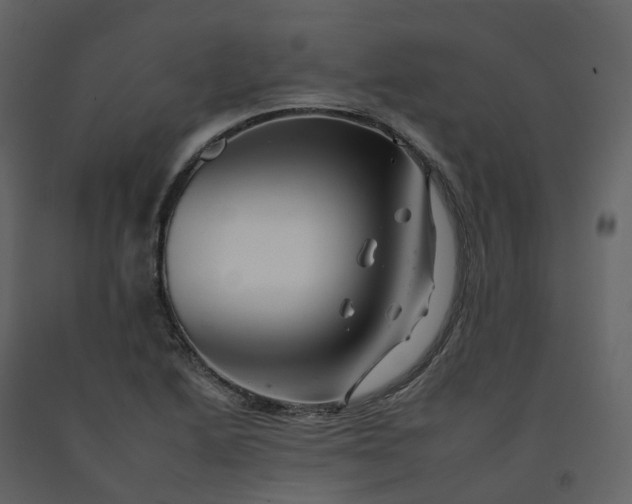 X0000092261222200710051313