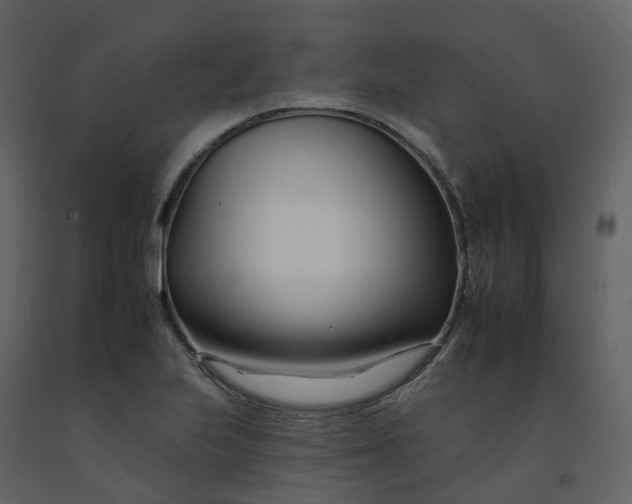 X0000092261223200710051313