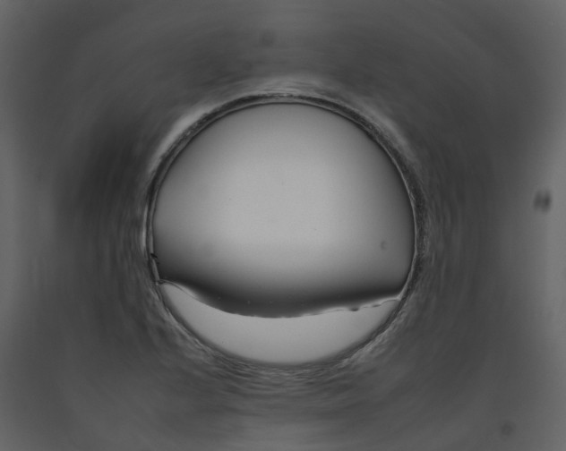 X0000092261224200710051313