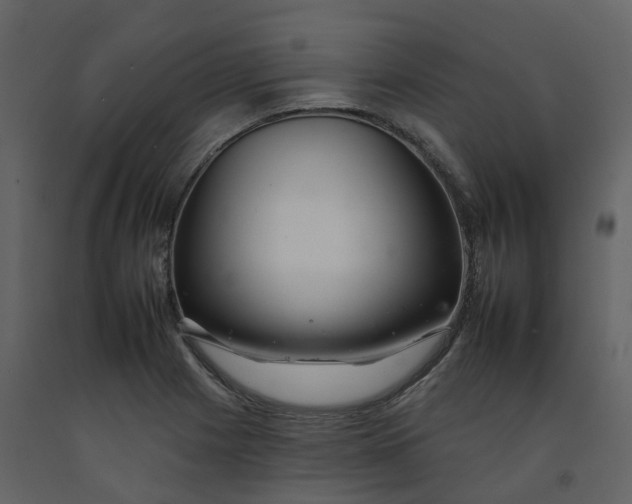 X0000092261225200710051313