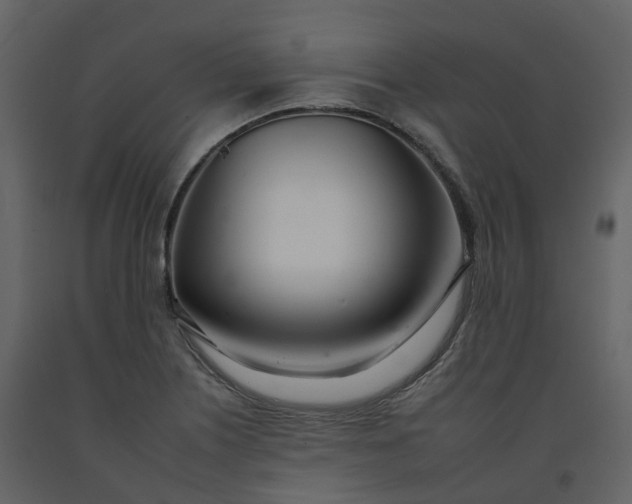 X0000092261226200710051313