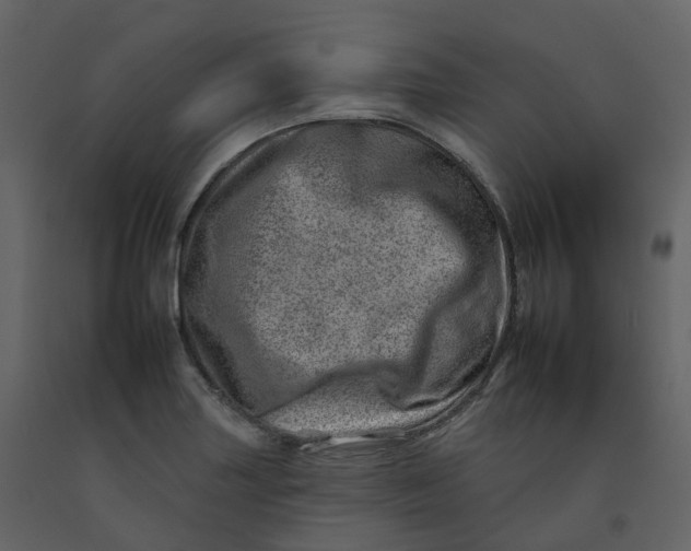 X0000092261227200710051313