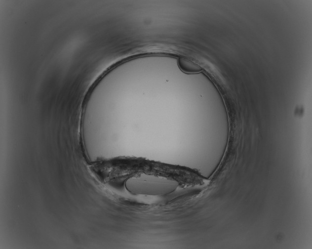 X0000092261228200710051313