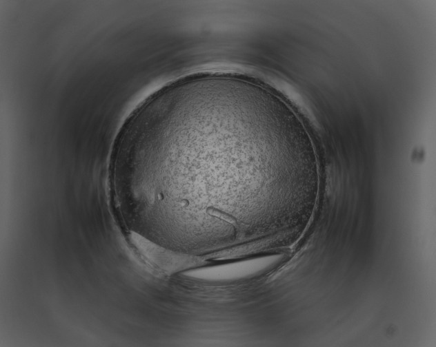 X0000092261229200710051313