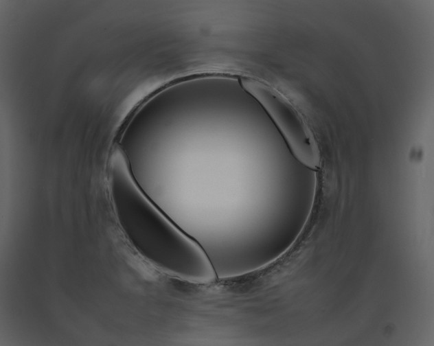 X0000092261230200710051313