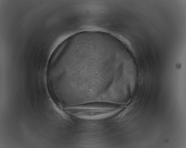 X0000092261231200710051313