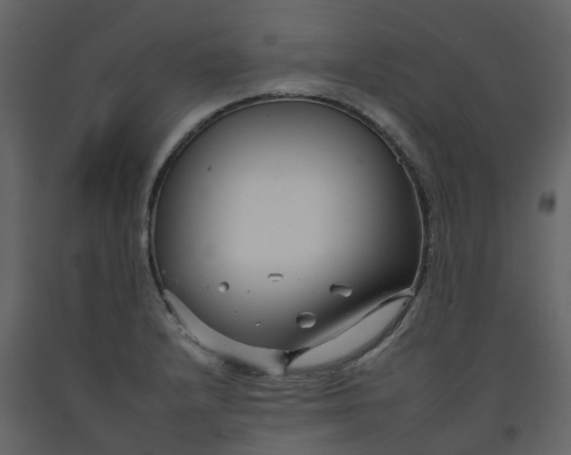 X0000092261232200710051313