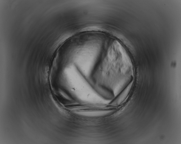 X0000092261233200710051313