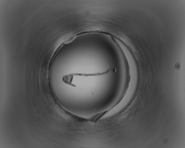 X0000092261234200710051313