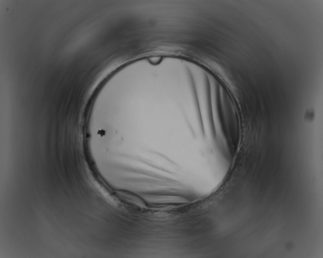 X0000092261235200710051313