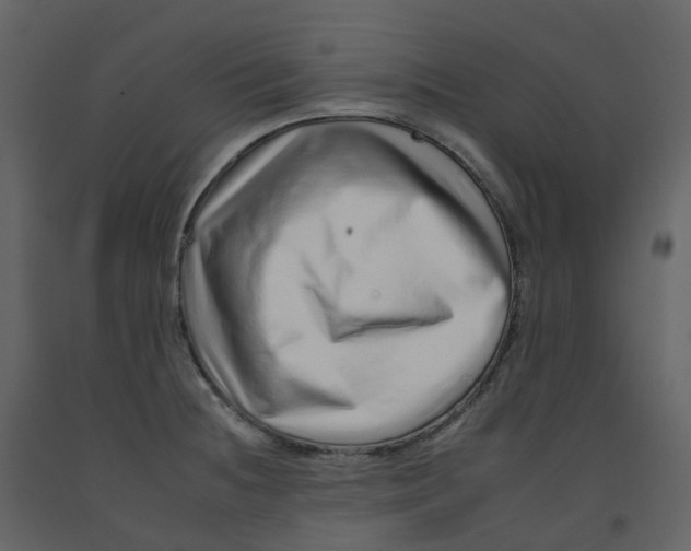 X0000092261236200710051313