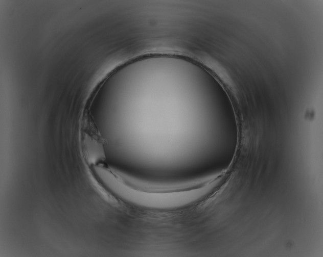 X0000092261237200710051313