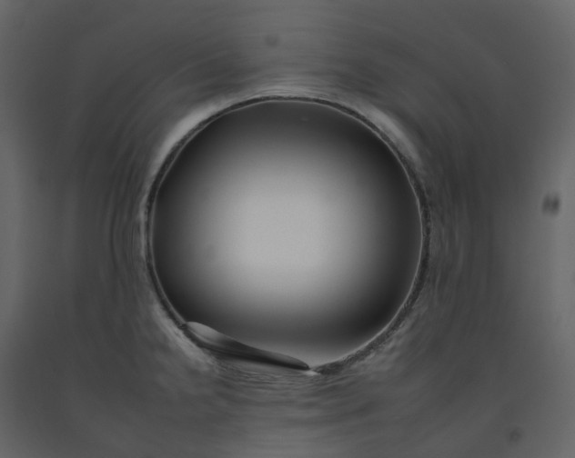 X0000092261238200710051313