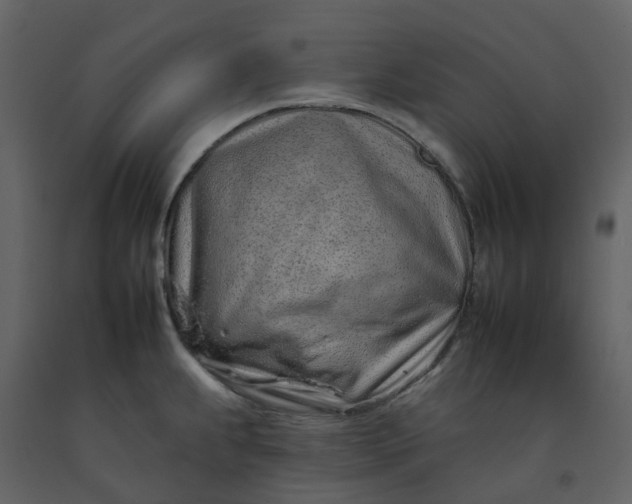 X0000092261239200710051313