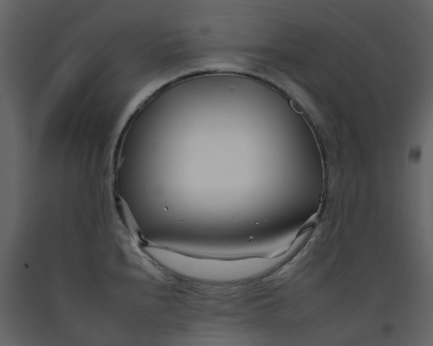 X0000092261240200710051313