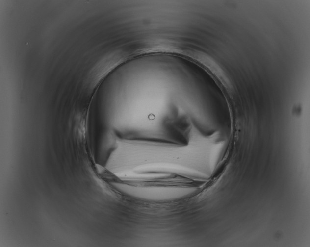 X0000092261241200710051313