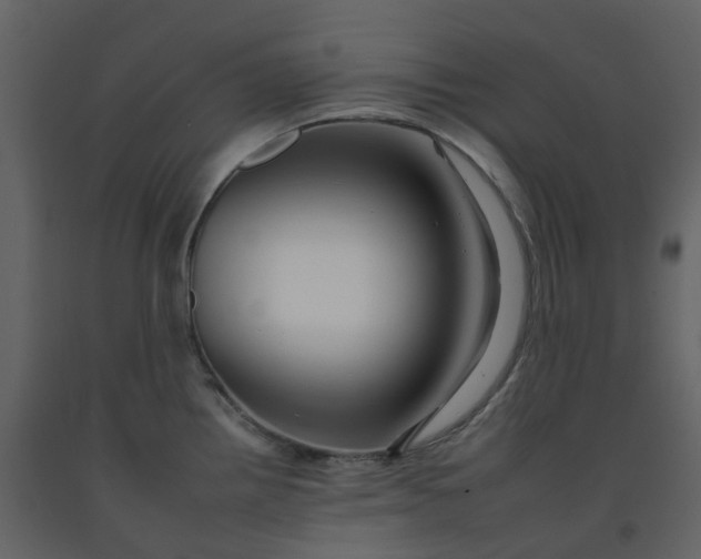 X0000092261242200710051313