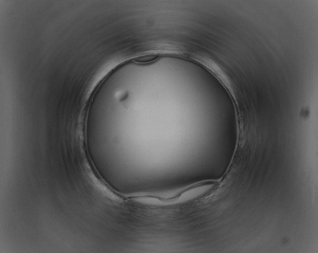 X0000092261243200710051313