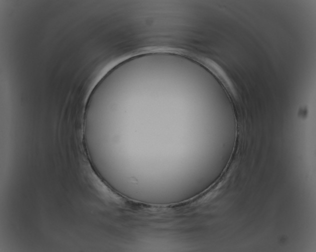 X0000092261244200710051313