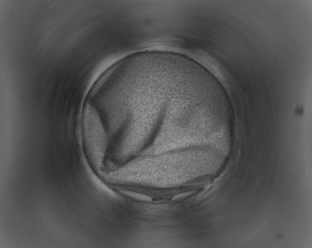 X0000092261247200710051313