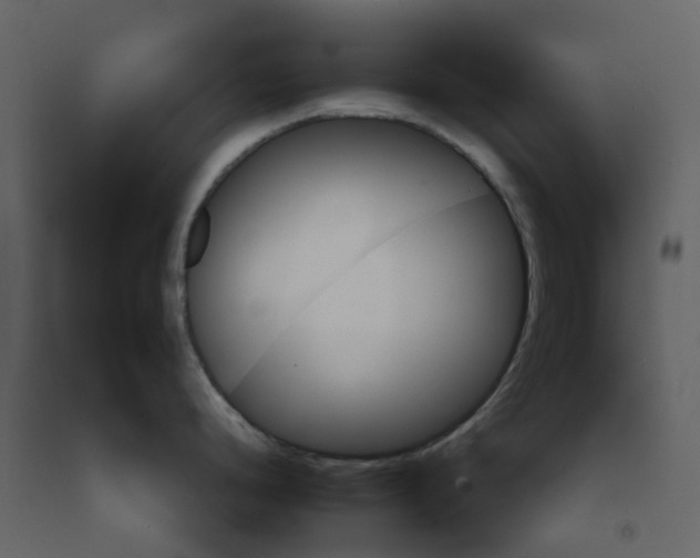 X0000092261248200710051313