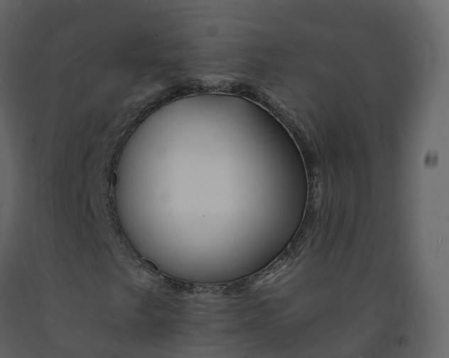 X0000092261249200710051312