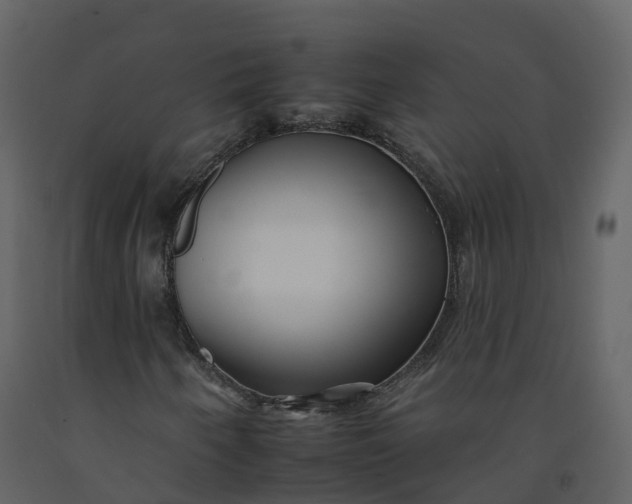 X0000092261250200710051312