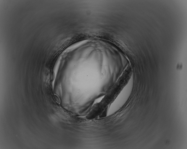 X0000092261251200710051312