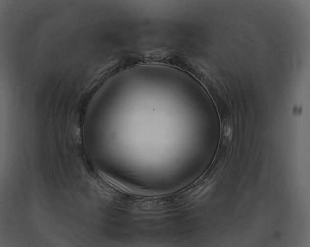 X0000092261252200710051312