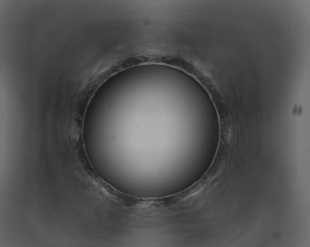 X0000092261253200710051312