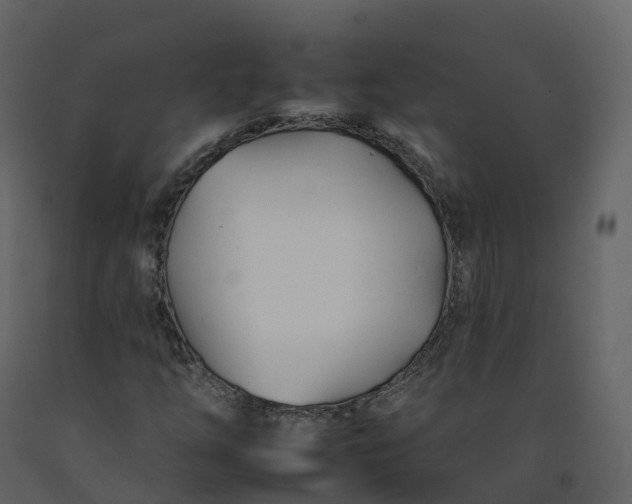 X0000092261254200710051312