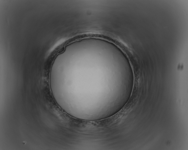 X0000092261255200710051312