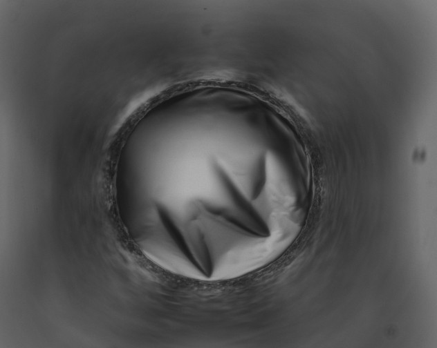 X0000092261256200710051312