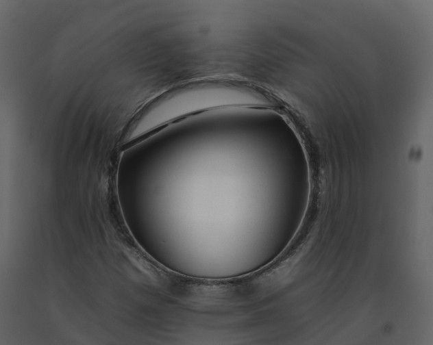 X0000092261257200710051312