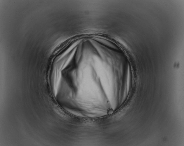 X0000092261259200710051312