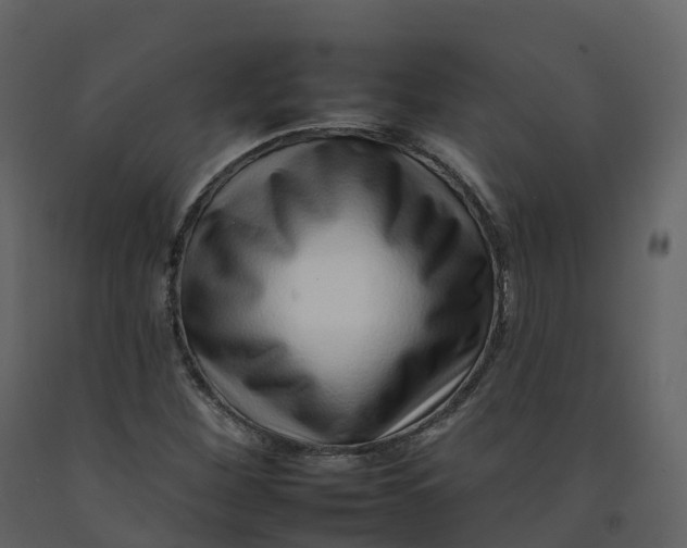 X0000092261260200710051312