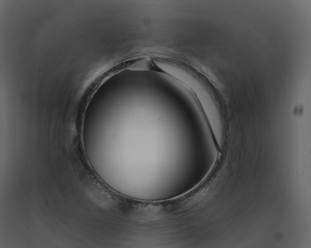 X0000092261261200710051312