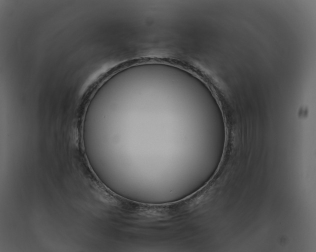 X0000092261262200710051312