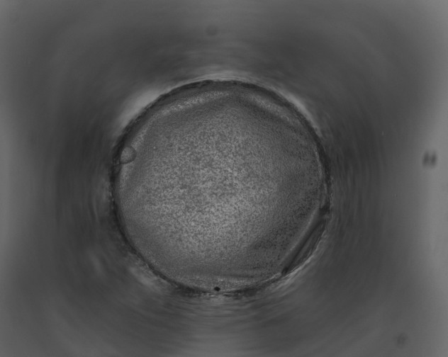 X0000092261263200710051312