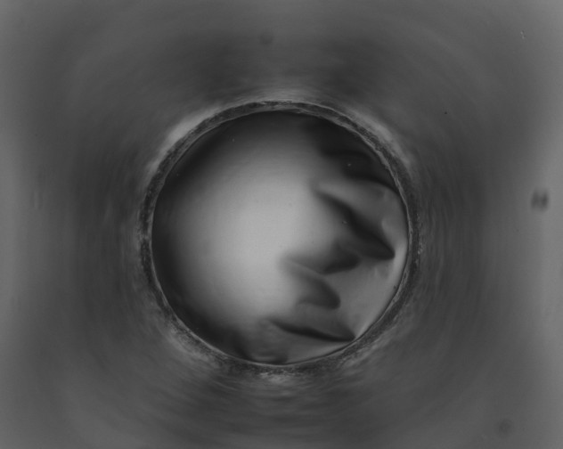 X0000092261264200710051312