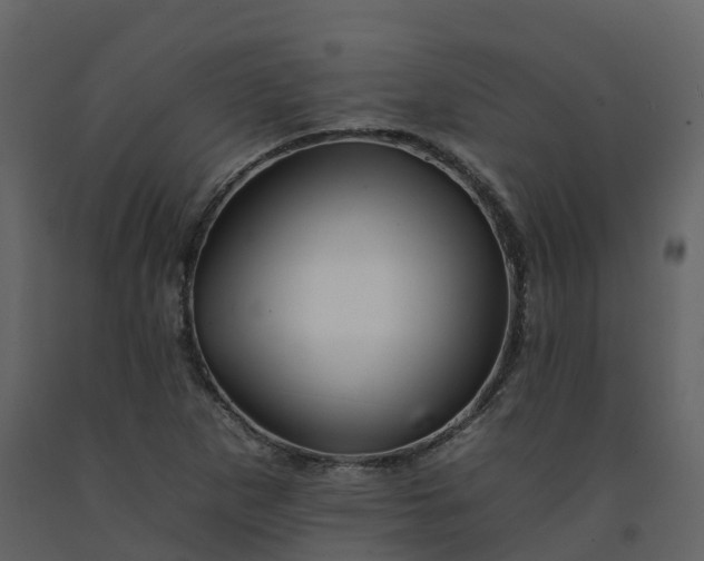 X0000092261265200710051312