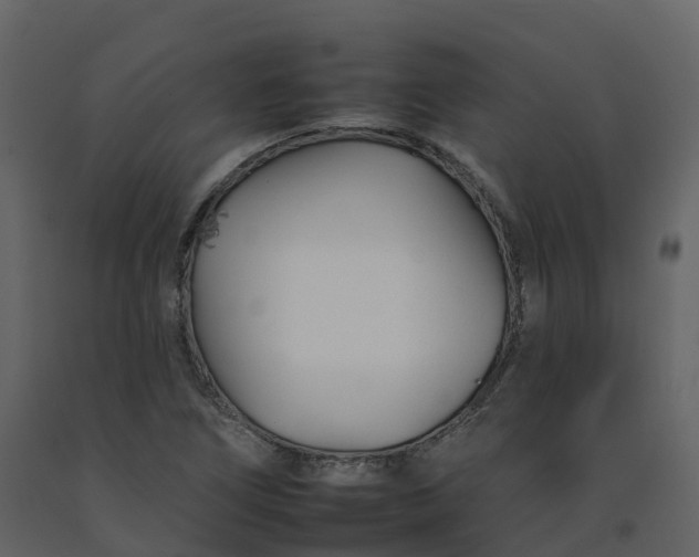 X0000092261266200710051312