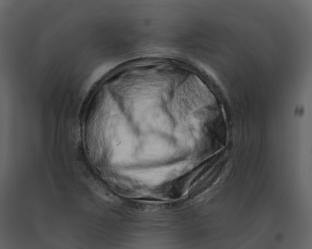 X0000092261267200710051312