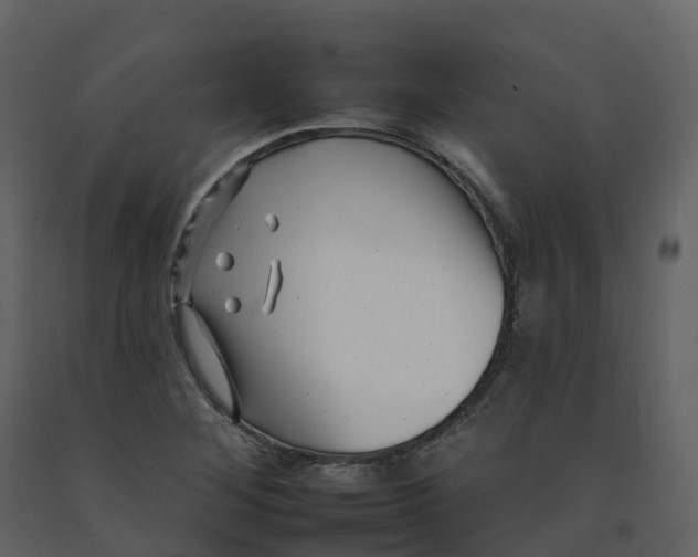 X0000092261268200710051312